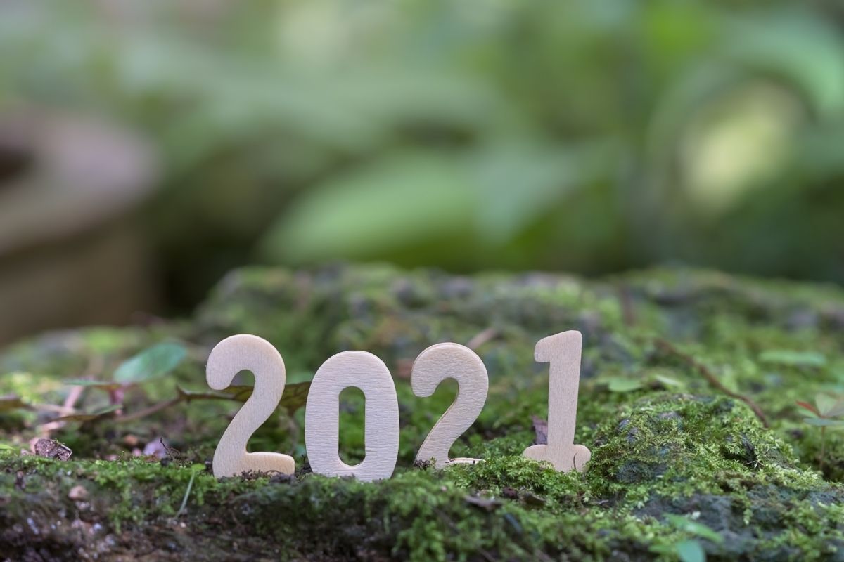 Photo of 2021 in Green Earth